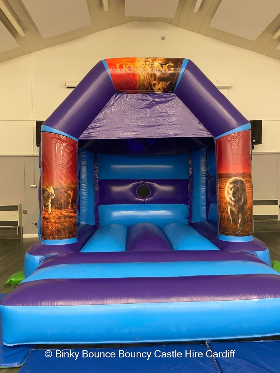 Lion King Theme Mini Disco Bouncy Castle (Small) - Bouncy Castle Hire ...