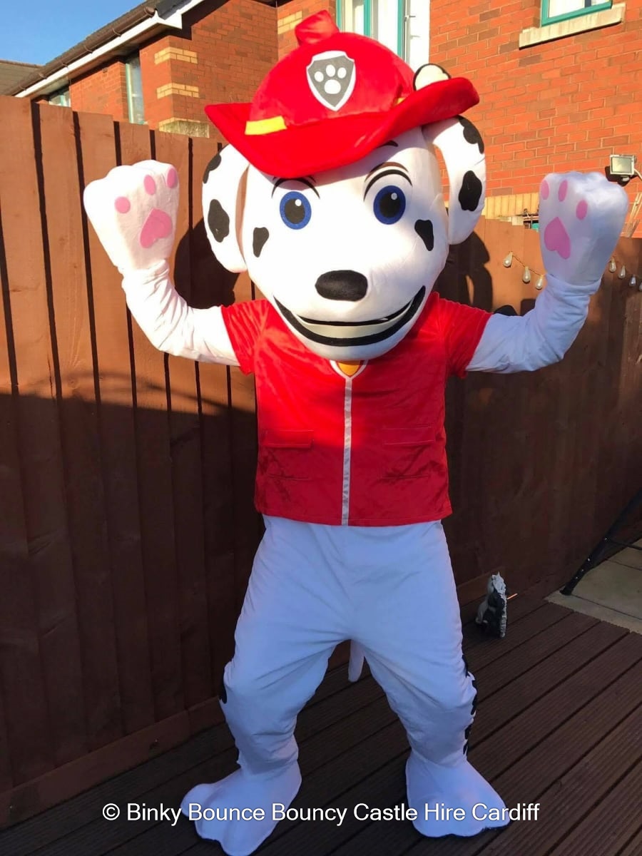 Marshell (30 Mins Appearance) - Bouncy Castle Hire and soft play hire ...